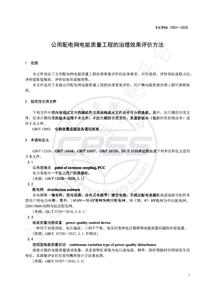T/CPSS 1002-2025 标准预览
