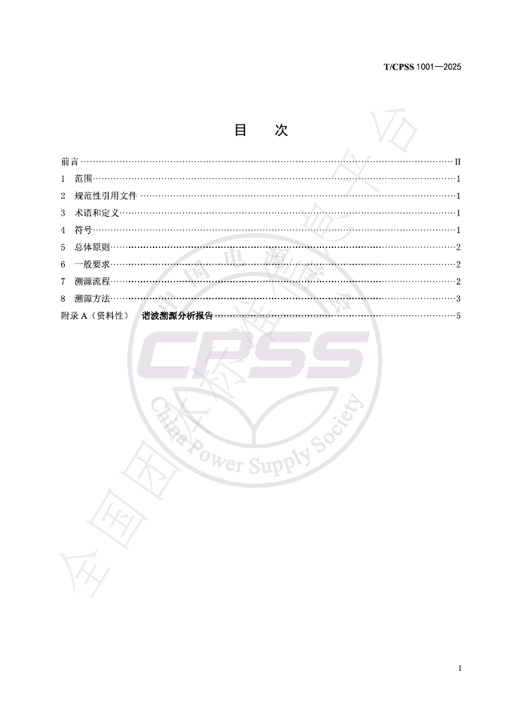 T/CPSS 1001-2025 标准预览