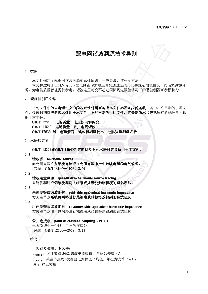T/CPSS 1001-2025 标准预览