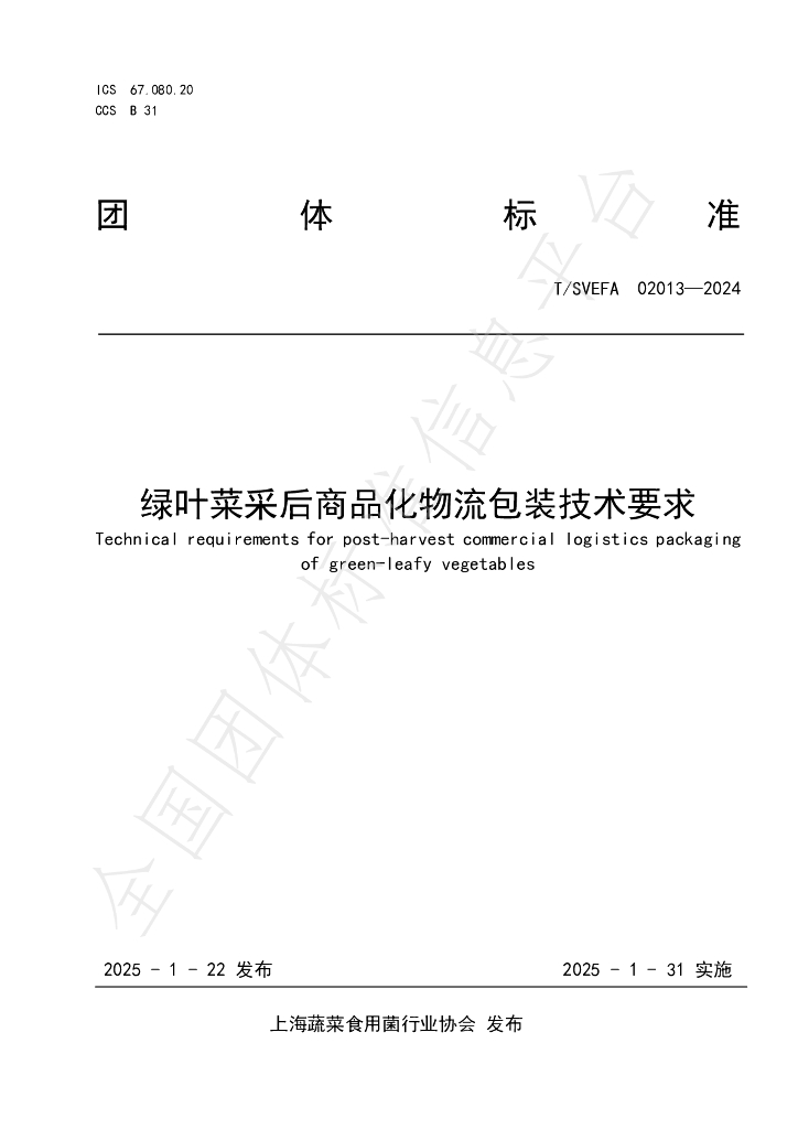 T/SVEFA 02013-2025 标准预览