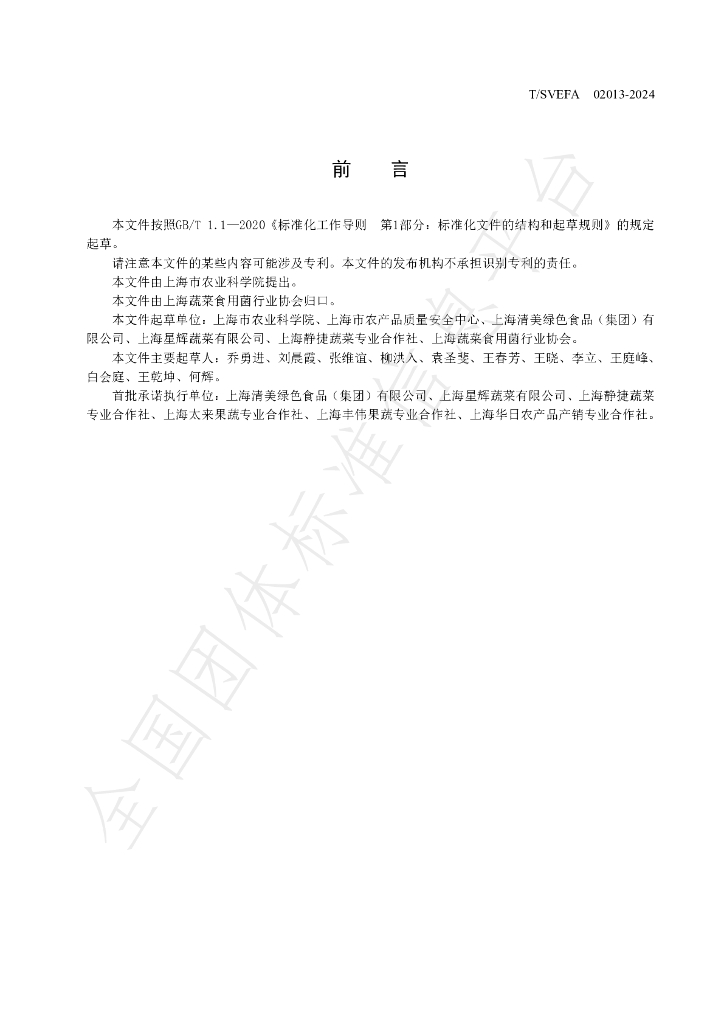 T/SVEFA 02013-2025 标准预览