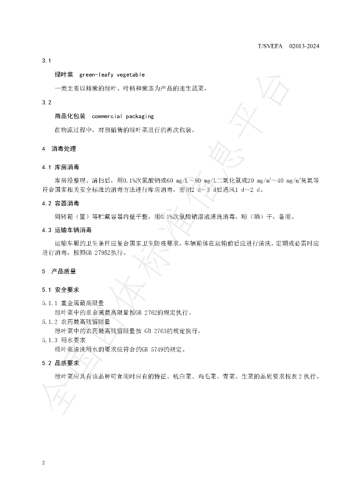 T/SVEFA 02013-2025 标准预览