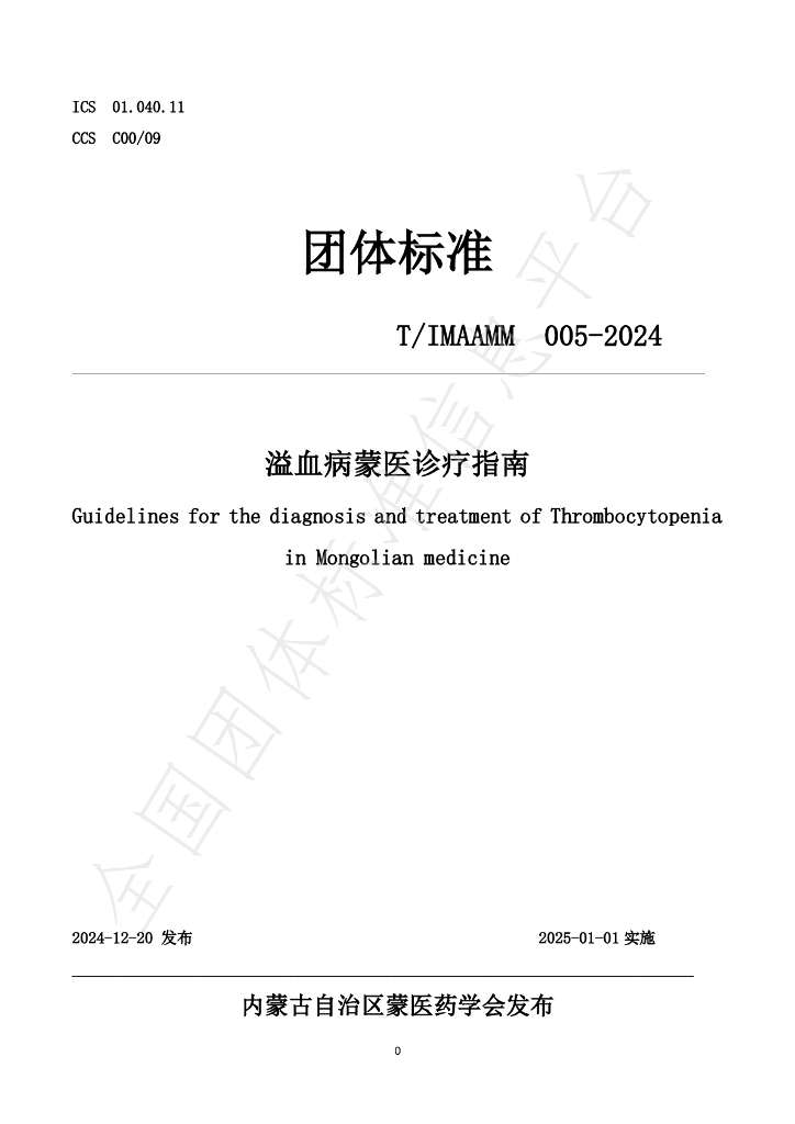 T/IMAAMM 005-2024 标准预览