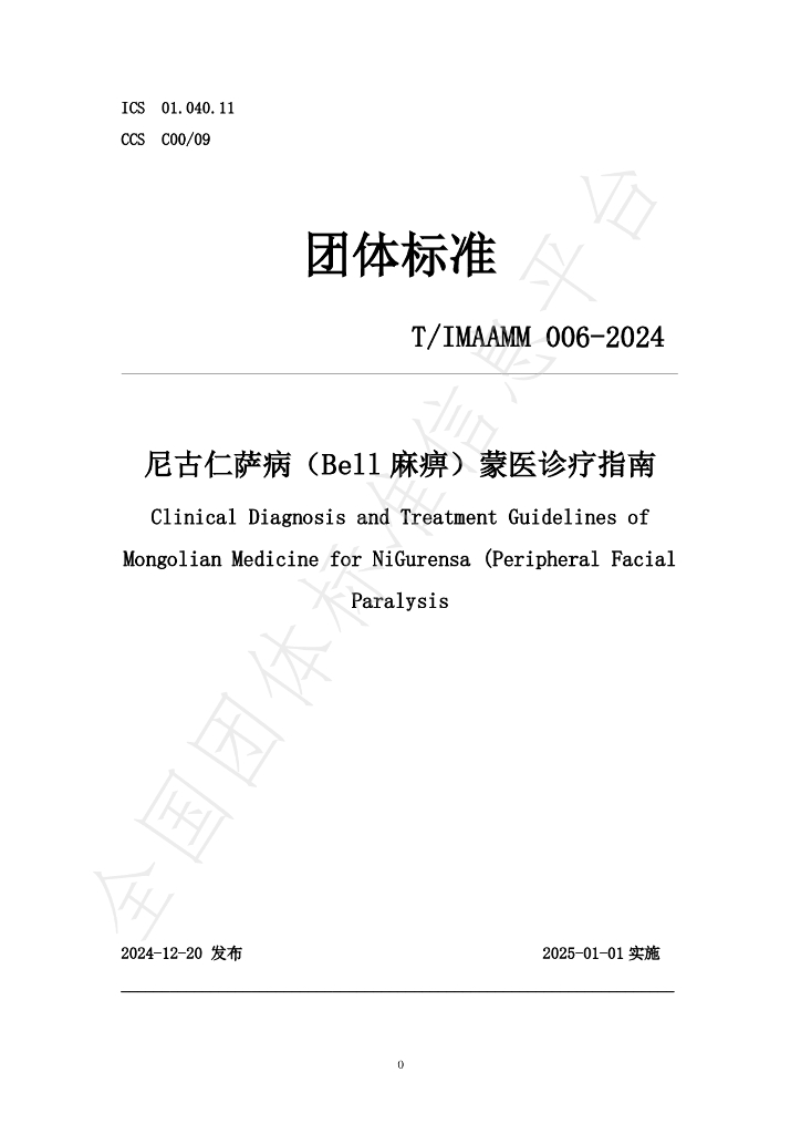 T/IMAAMM 006-2024 标准预览