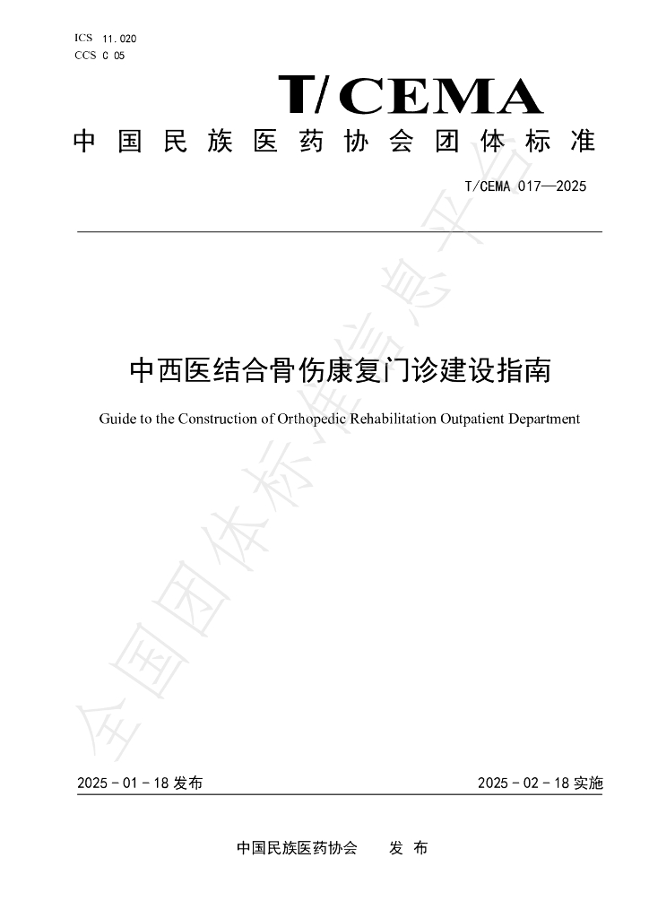 T/CEMA 017-2025 标准预览