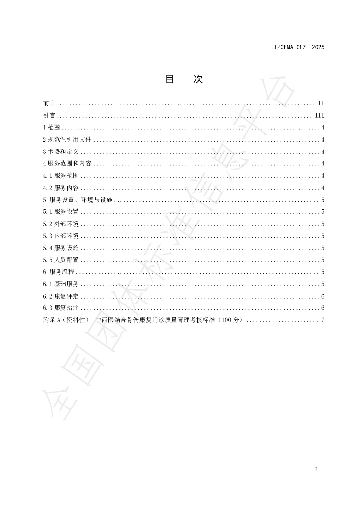 T/CEMA 017-2025 标准预览
