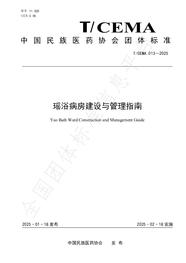 T/CEMA 013-2025 标准预览