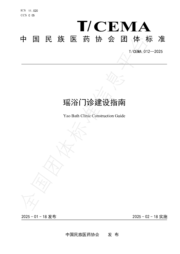 T/CEMA 012-2025 标准预览