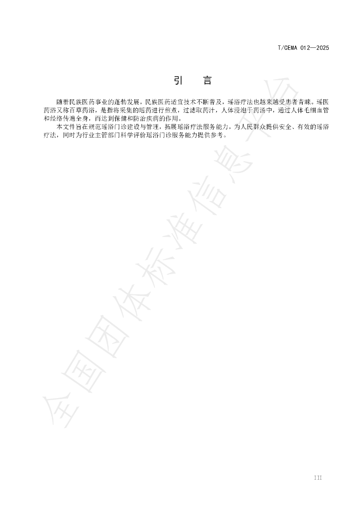 T/CEMA 012-2025 标准预览