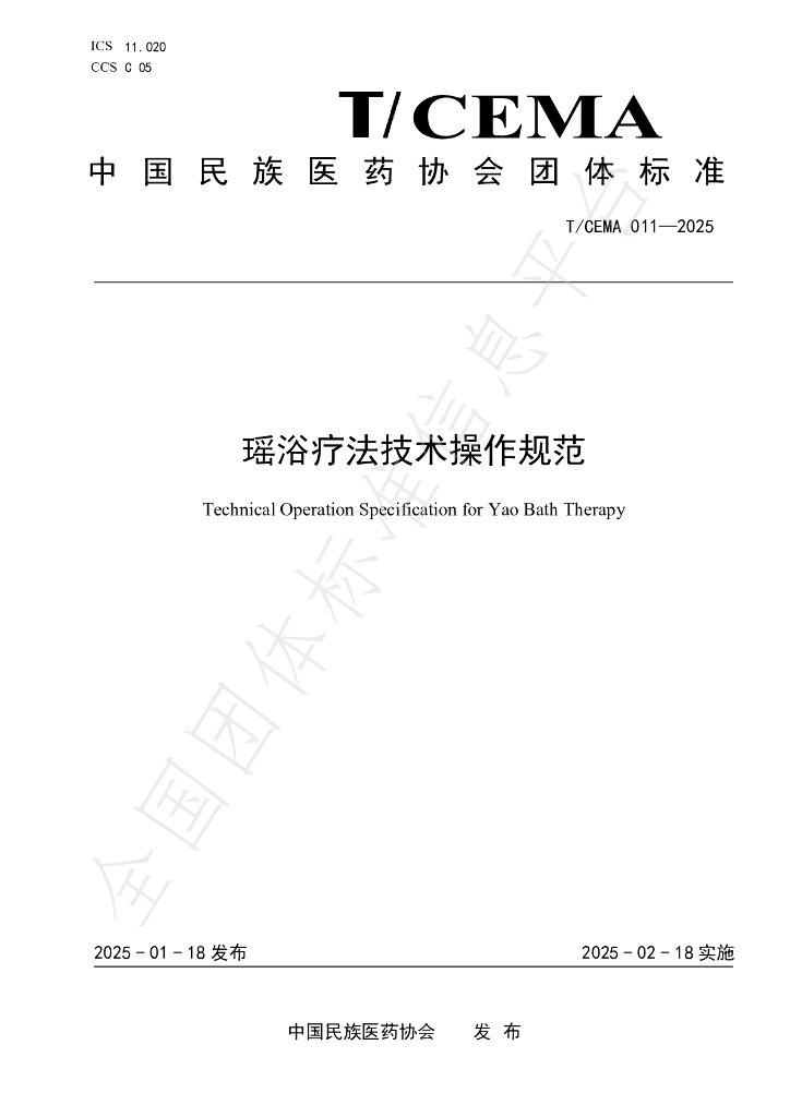 T/CEMA 011-2025 标准预览
