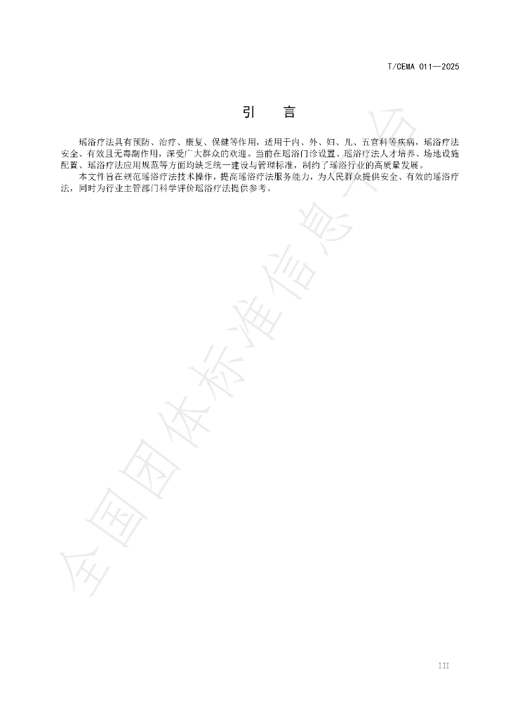 T/CEMA 011-2025 标准预览