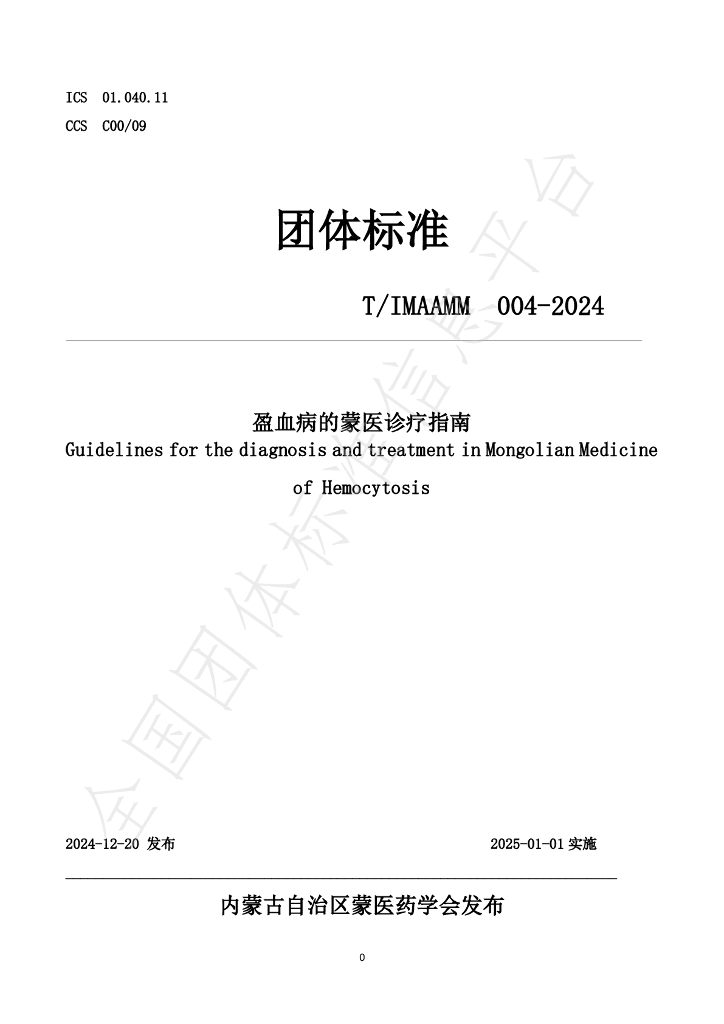 T/IMAAMM 004-2024 标准预览