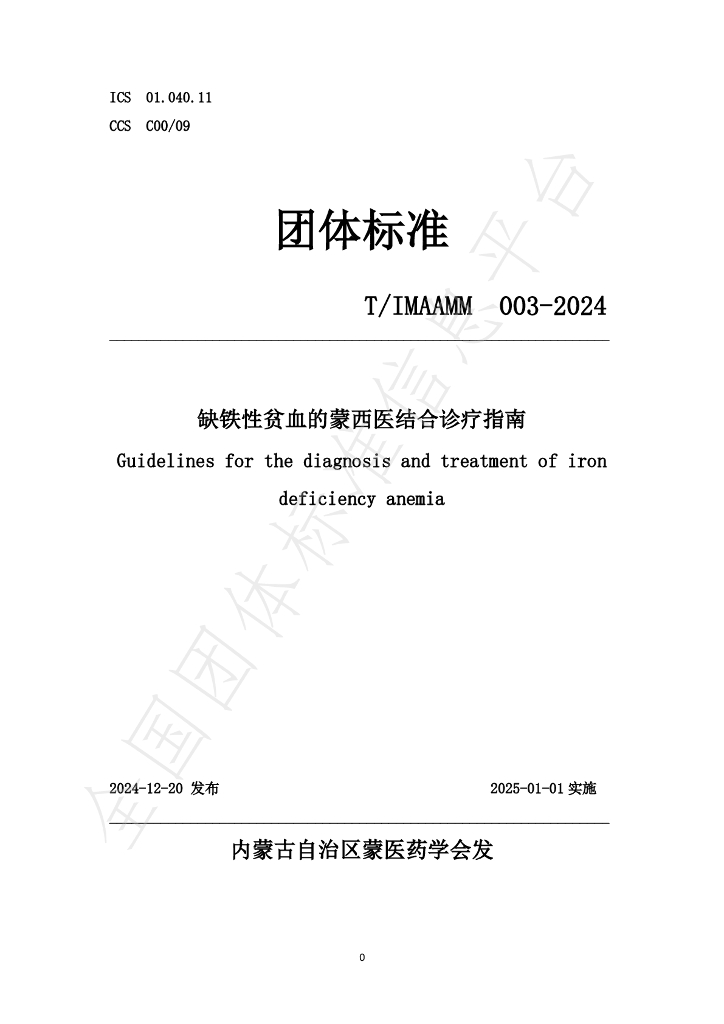 T/IMAAMM 003-2024 标准预览