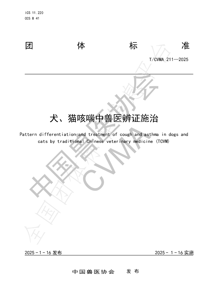 T/CVMA 211-2025 标准预览