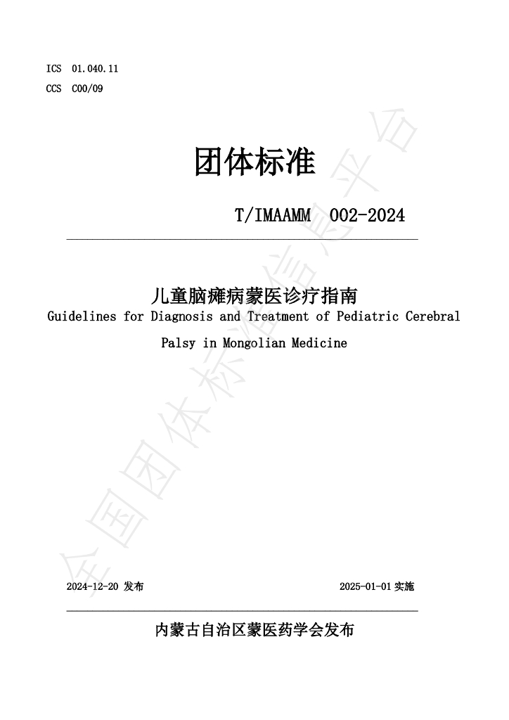T/IMAAMM 002-2024 标准预览