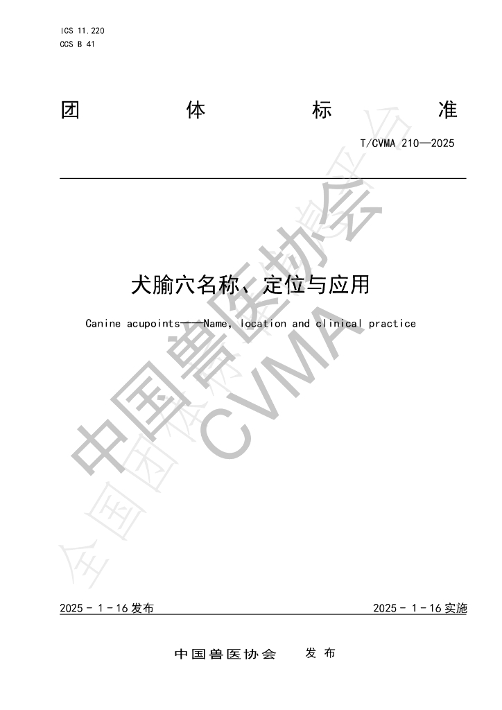 T/CVMA 210-2025 标准预览
