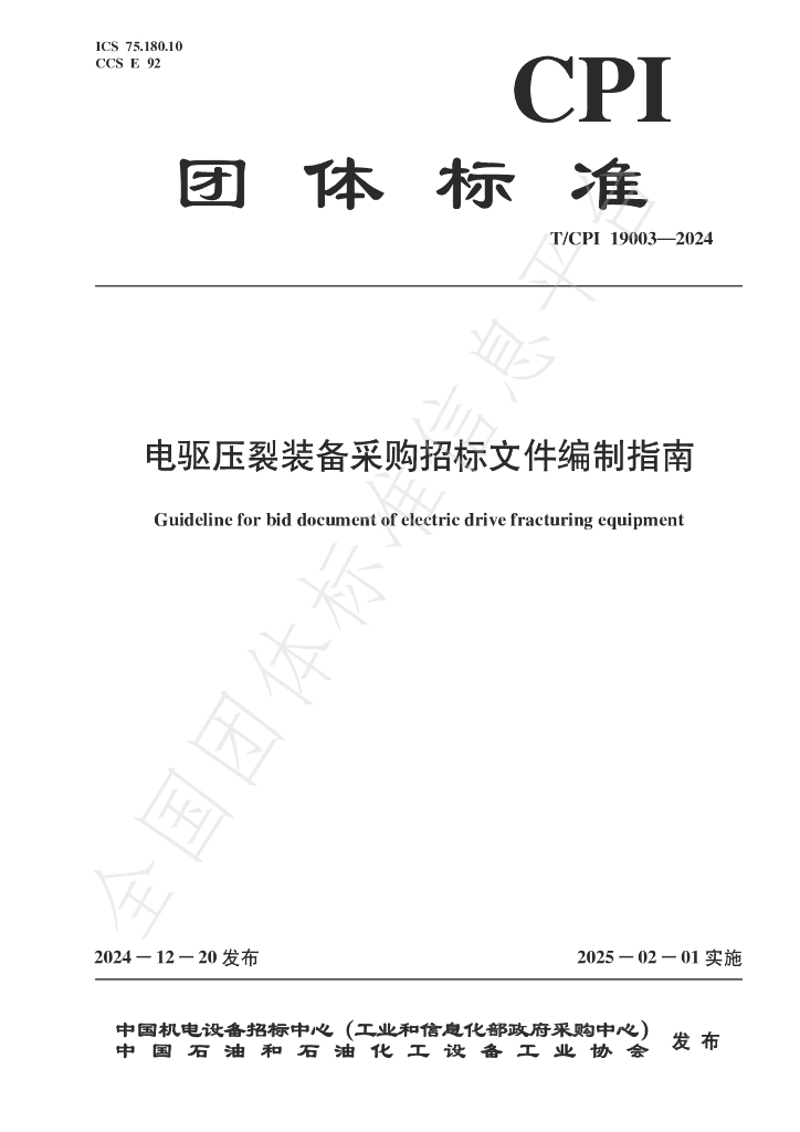 T/CPI 19003-2024 标准预览