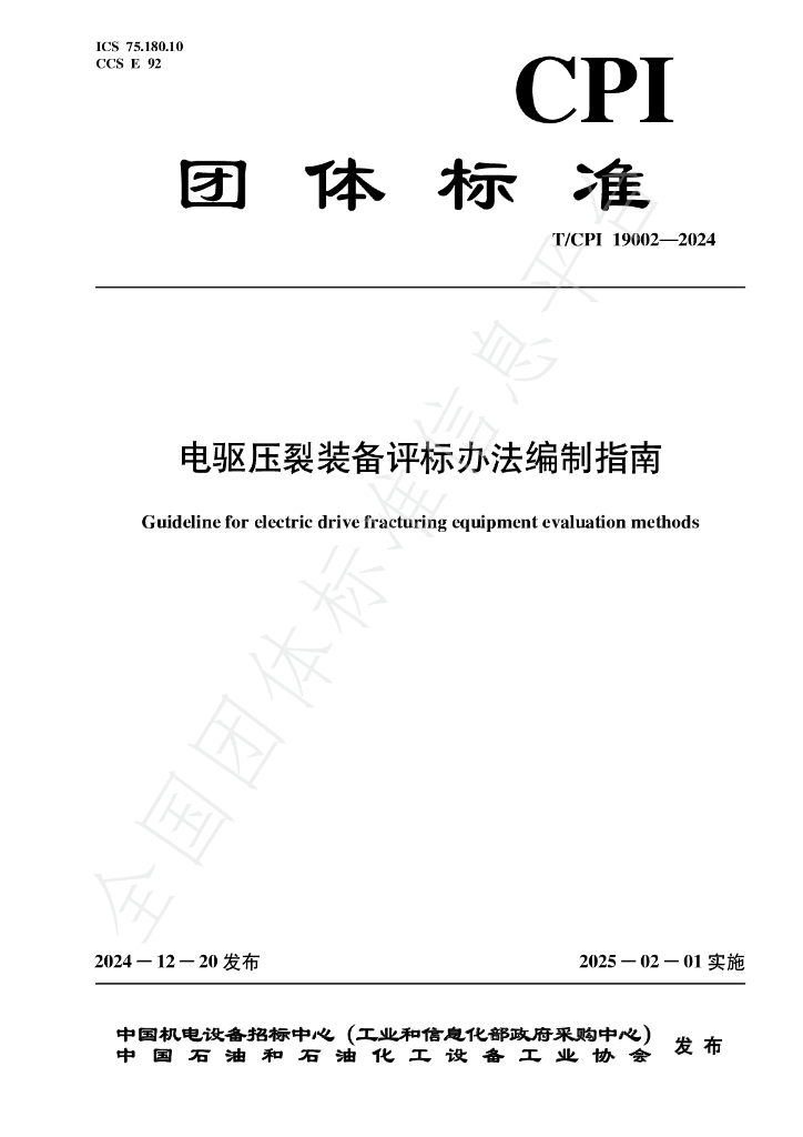 T/CPI 19002-2024 标准预览