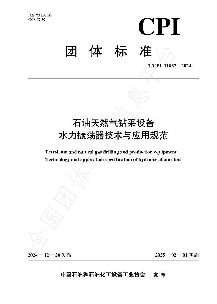 T/CPI 11037-2024 标准预览