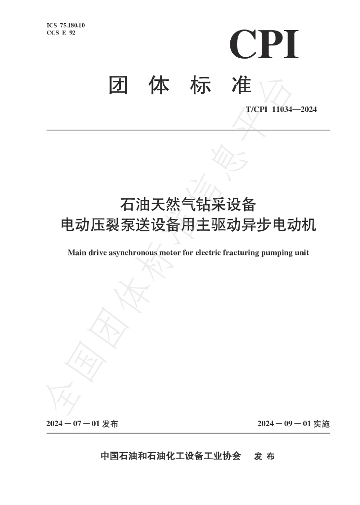 T/CPI 11034-2024 标准预览