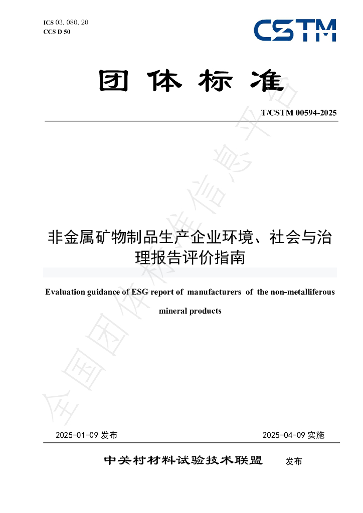 T/CSTM 00594-2025 标准预览