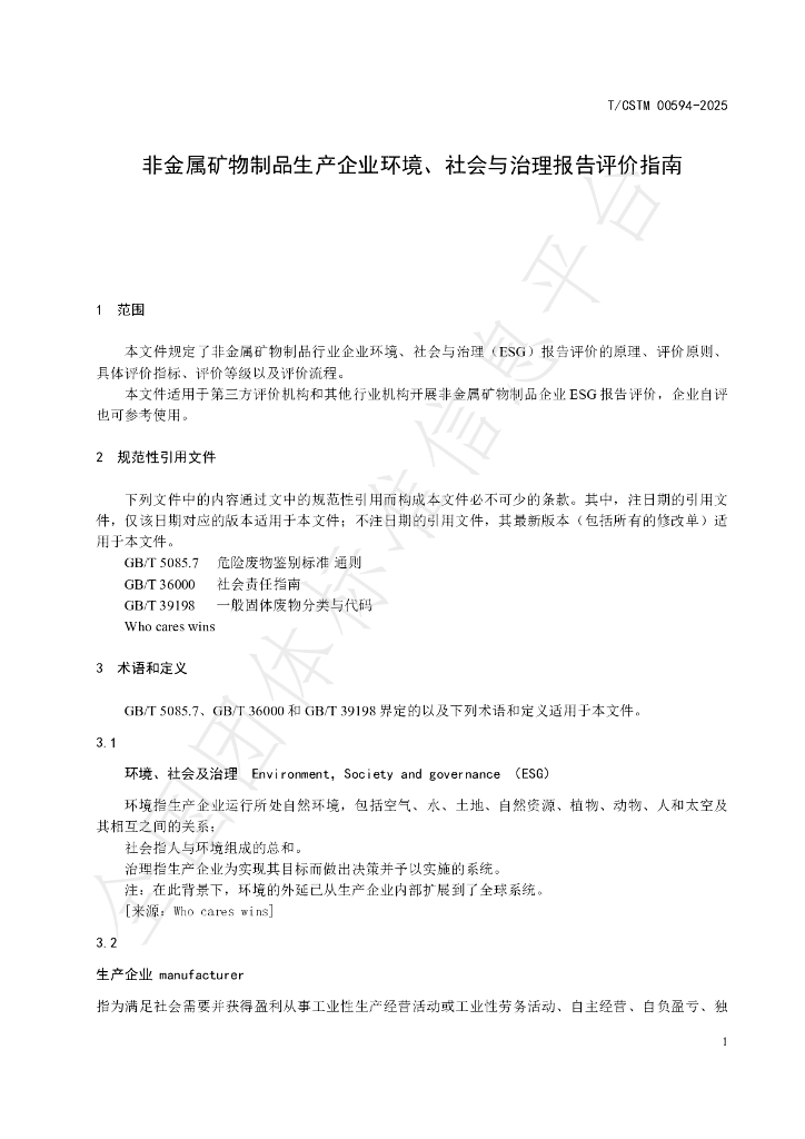 T/CSTM 00594-2025 标准预览