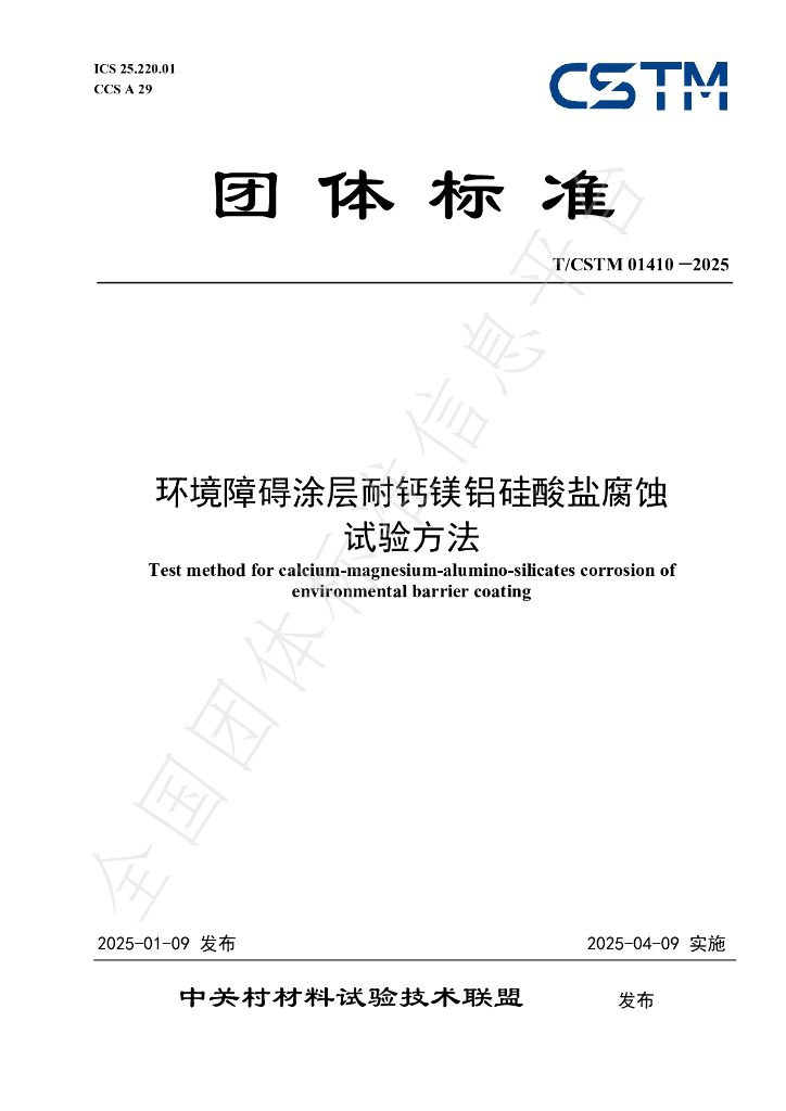 T/CSTM 01410-2025 标准预览