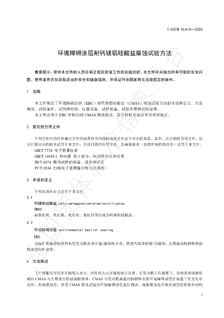 T/CSTM 01410-2025 标准预览