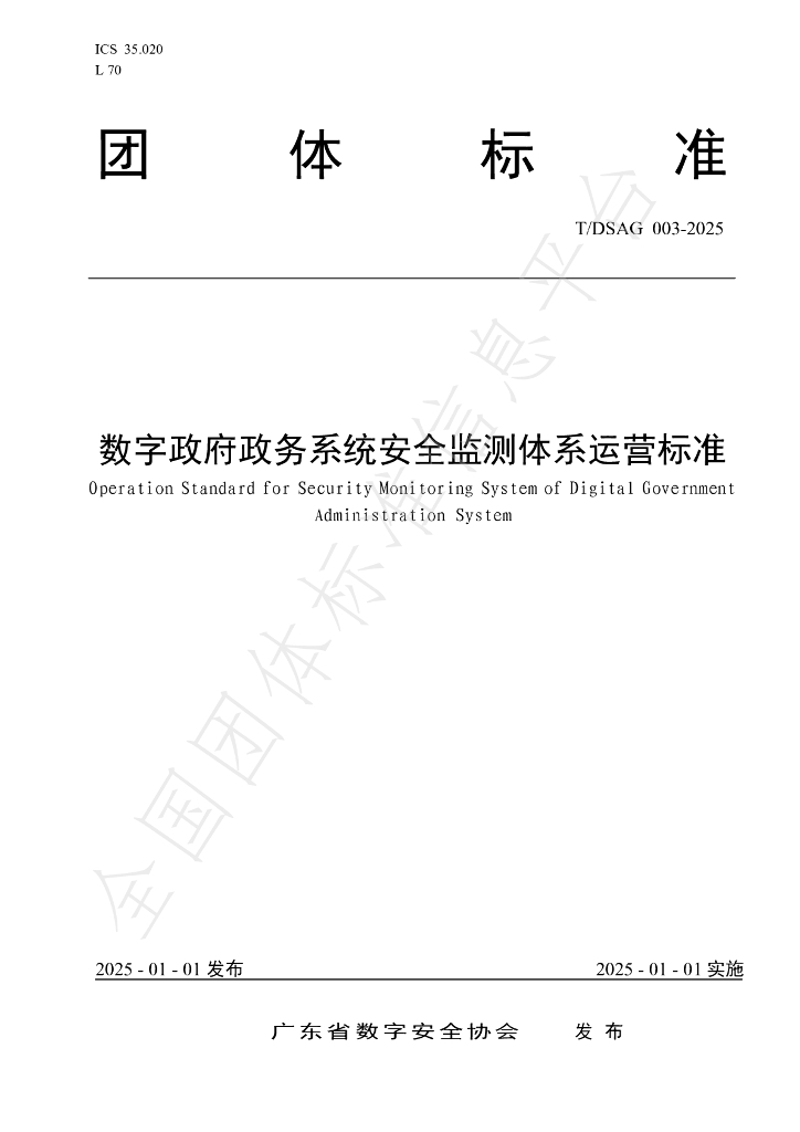 T/DSAG 003-2025 标准预览