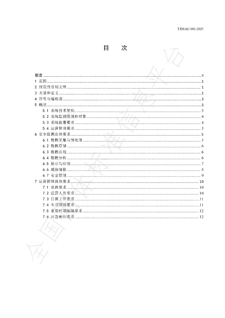 T/DSAG 003-2025 标准预览