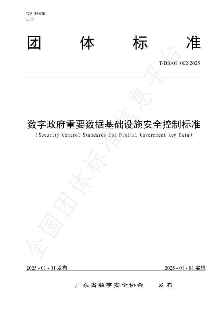 T/DSAG 002-2025 标准预览