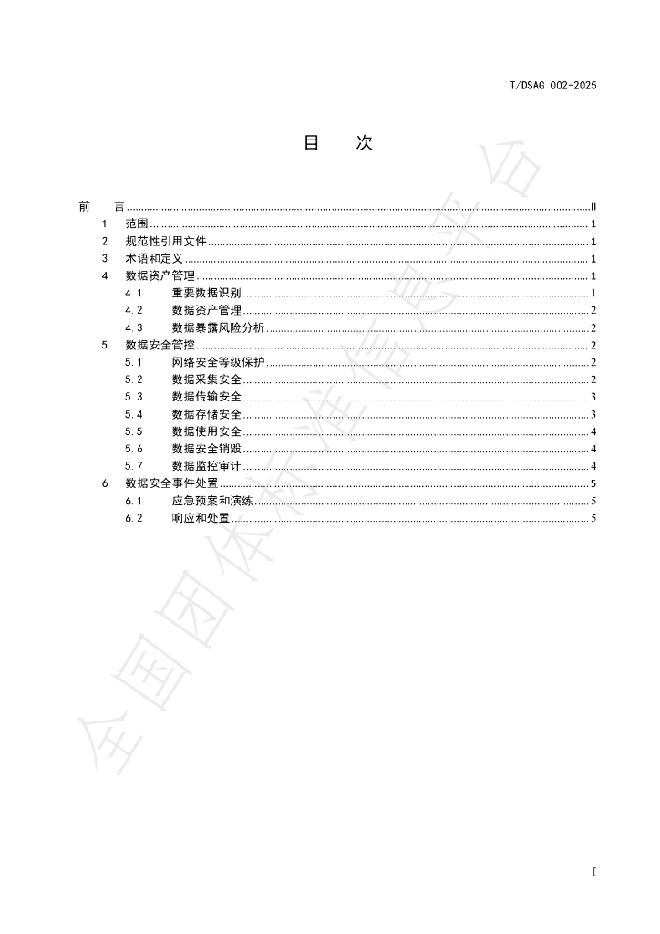 T/DSAG 002-2025 标准预览