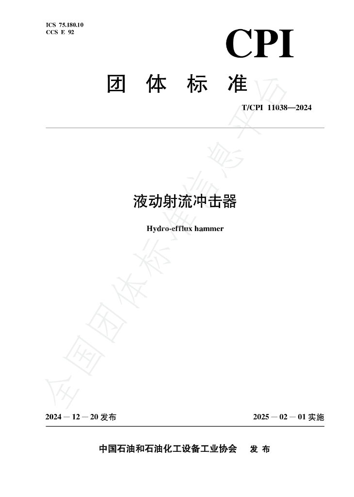 T/CPI 11038-2024 标准预览