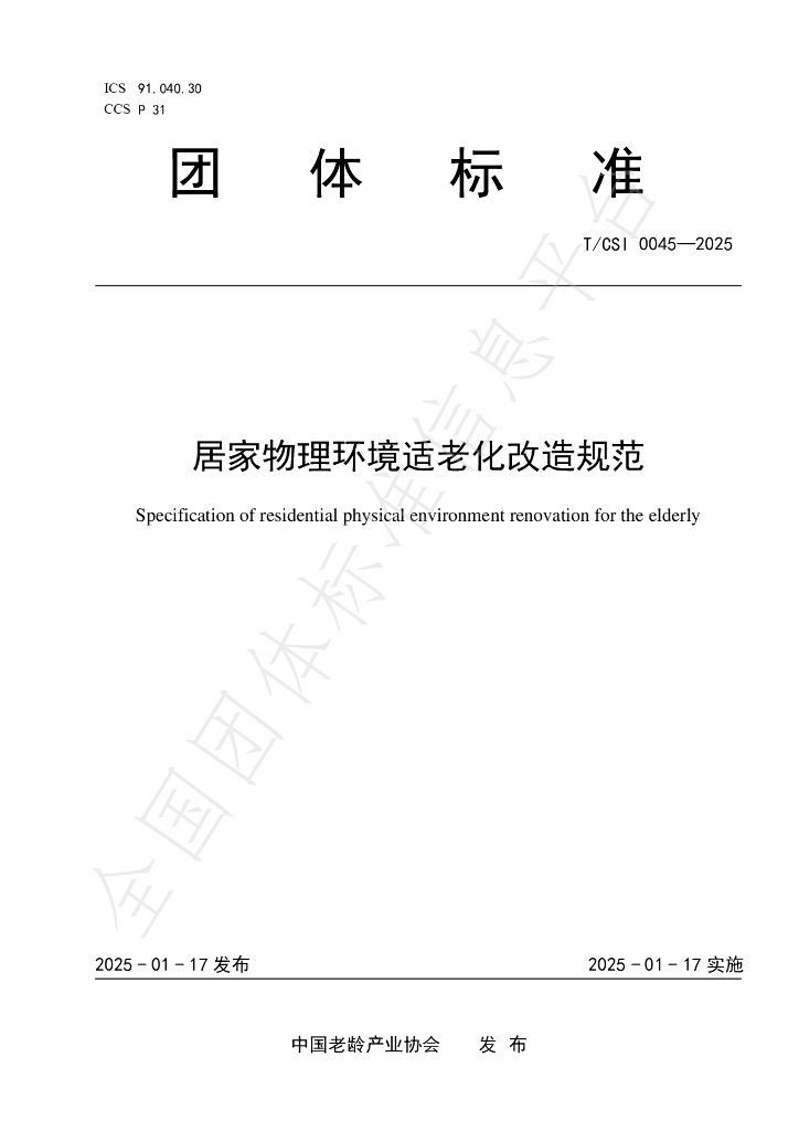 T/CSI 0045-2025 标准预览