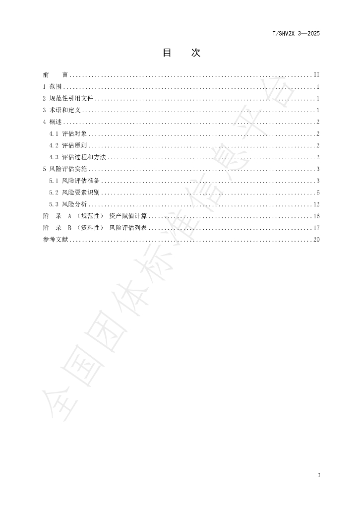 T/SHV2X 3-2025 标准预览