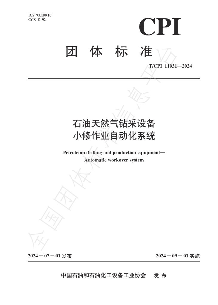T/CPI 11031-2024 标准预览