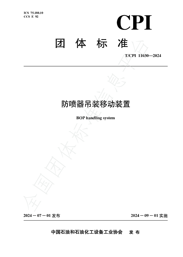 T/CPI 11030-2024 标准预览