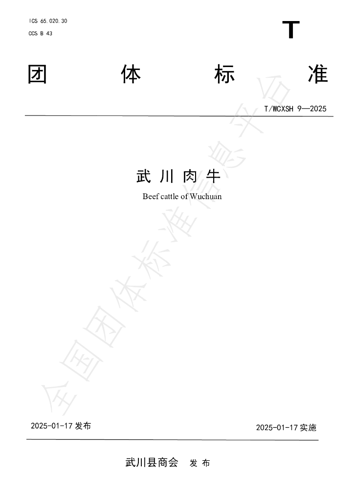 T/WCXSH 9-2025 标准预览