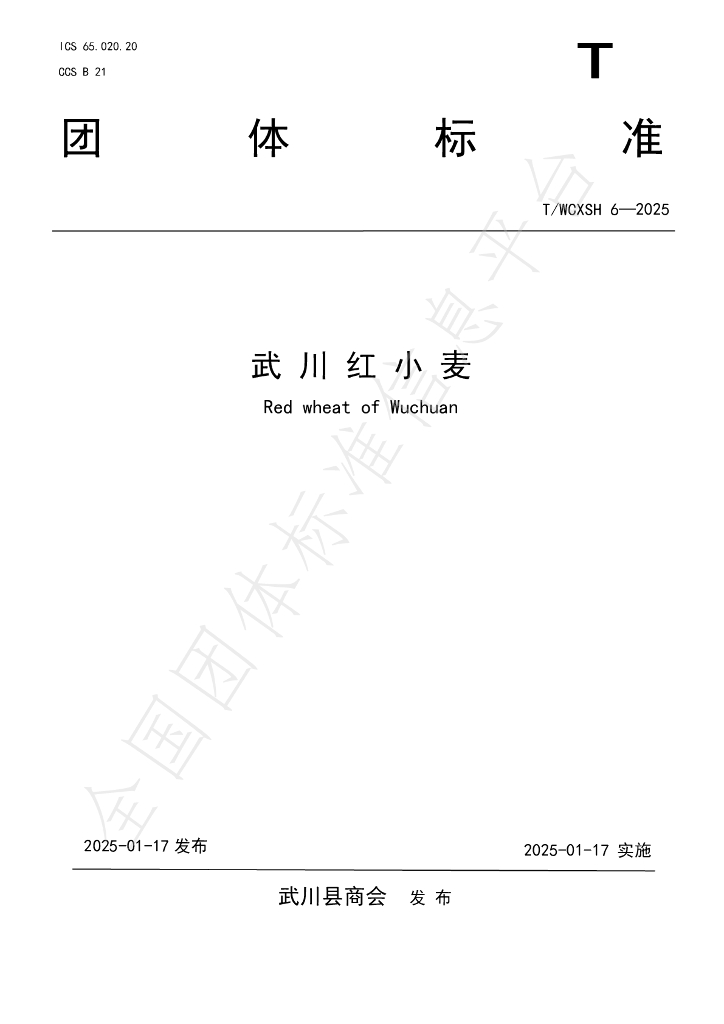 T/WCXSH 6-2025 标准预览