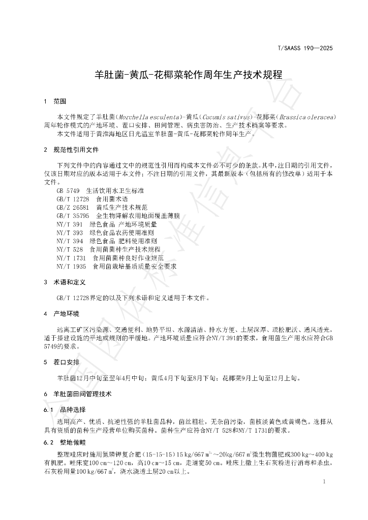 T/SAASS 190-2025 标准预览