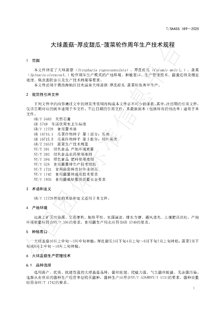 T/SAASS 189-2025 标准预览