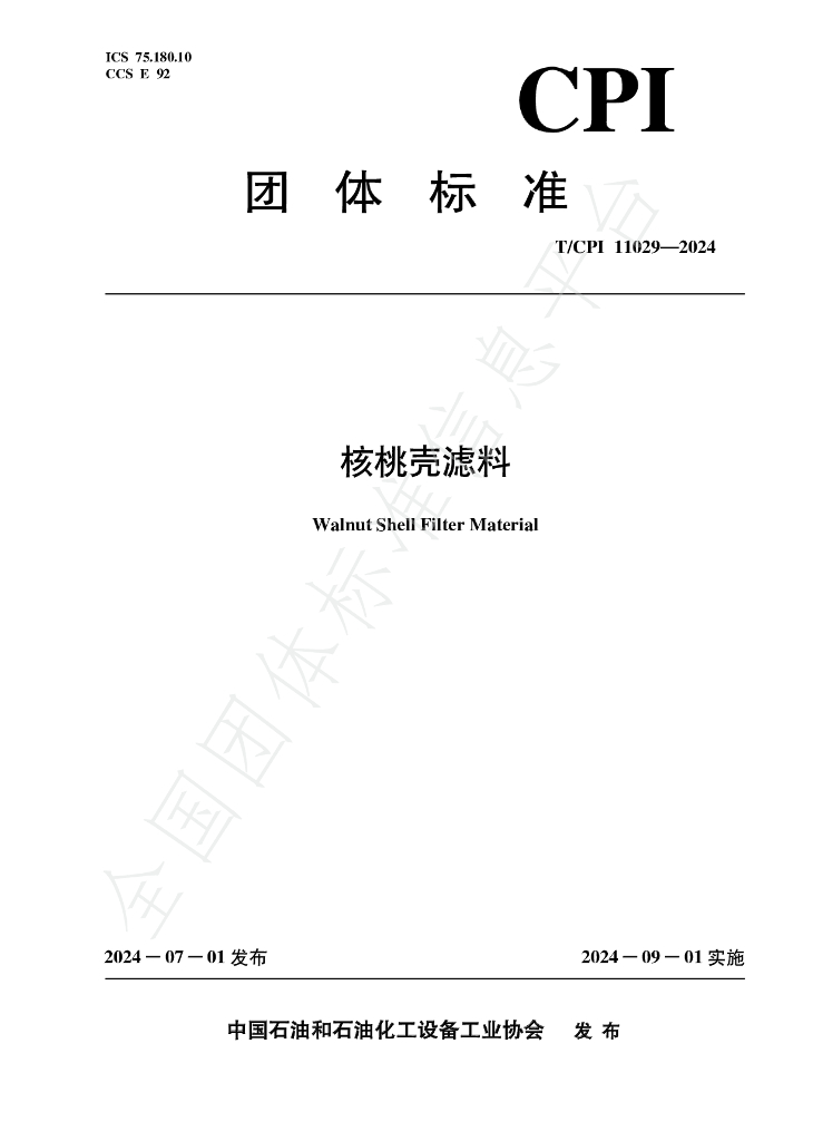 T/CPI 11029-2024 标准预览