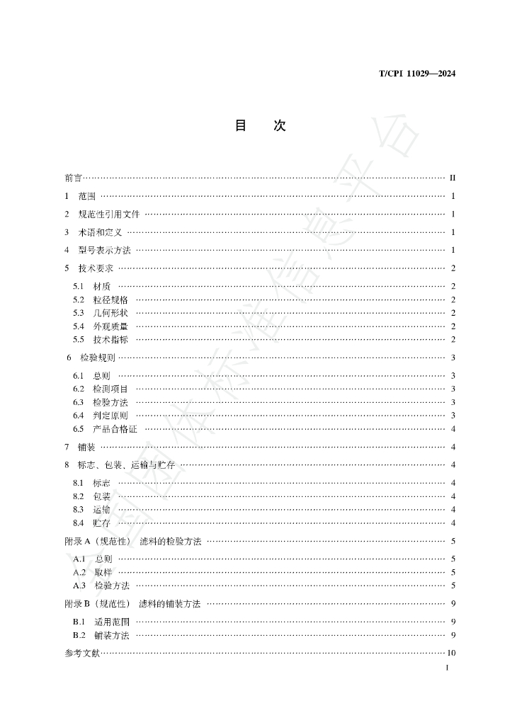 T/CPI 11029-2024 标准预览