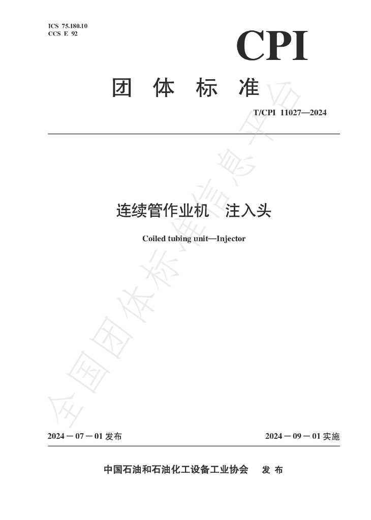 T/CPI 11027-2024 标准预览