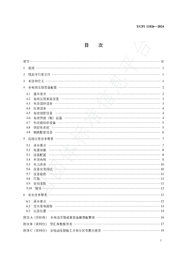 T/CPI 11026-2024 标准预览