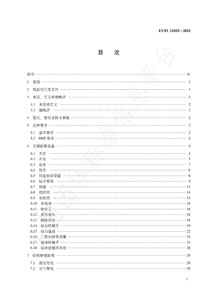 T/CPI 11025-2024 标准预览