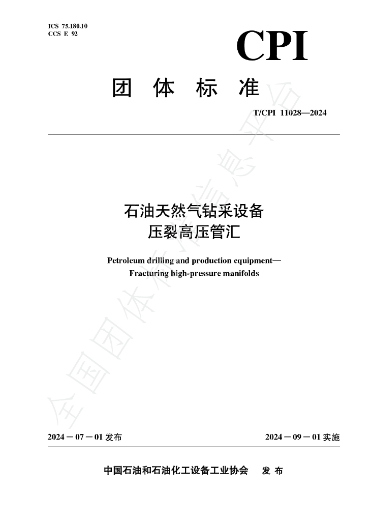T/CPI 11028-2024 标准预览