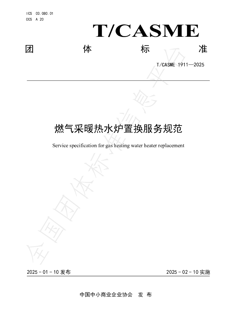 T/CASME 1911-2025 标准预览