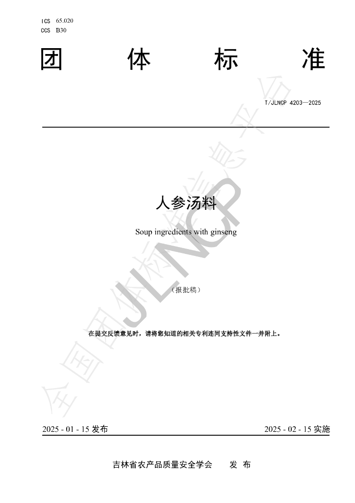 T/JLNCP 4203-2025 标准预览