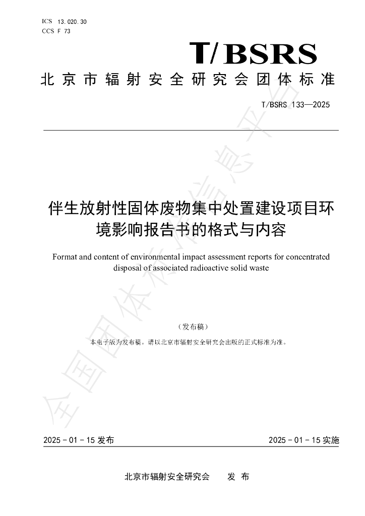 T/BSRS 133-2025 标准预览